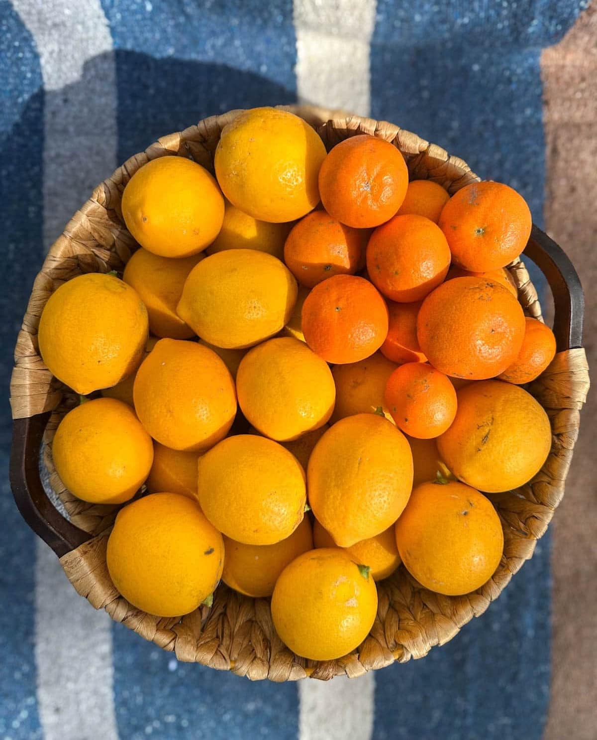 A wicker basket full of freshly harvested lemons and tangerines.