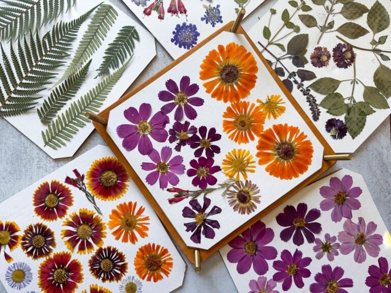 Pressing Flowers for Beginners: How to Press Flowers 4 Ways (Pros and ...