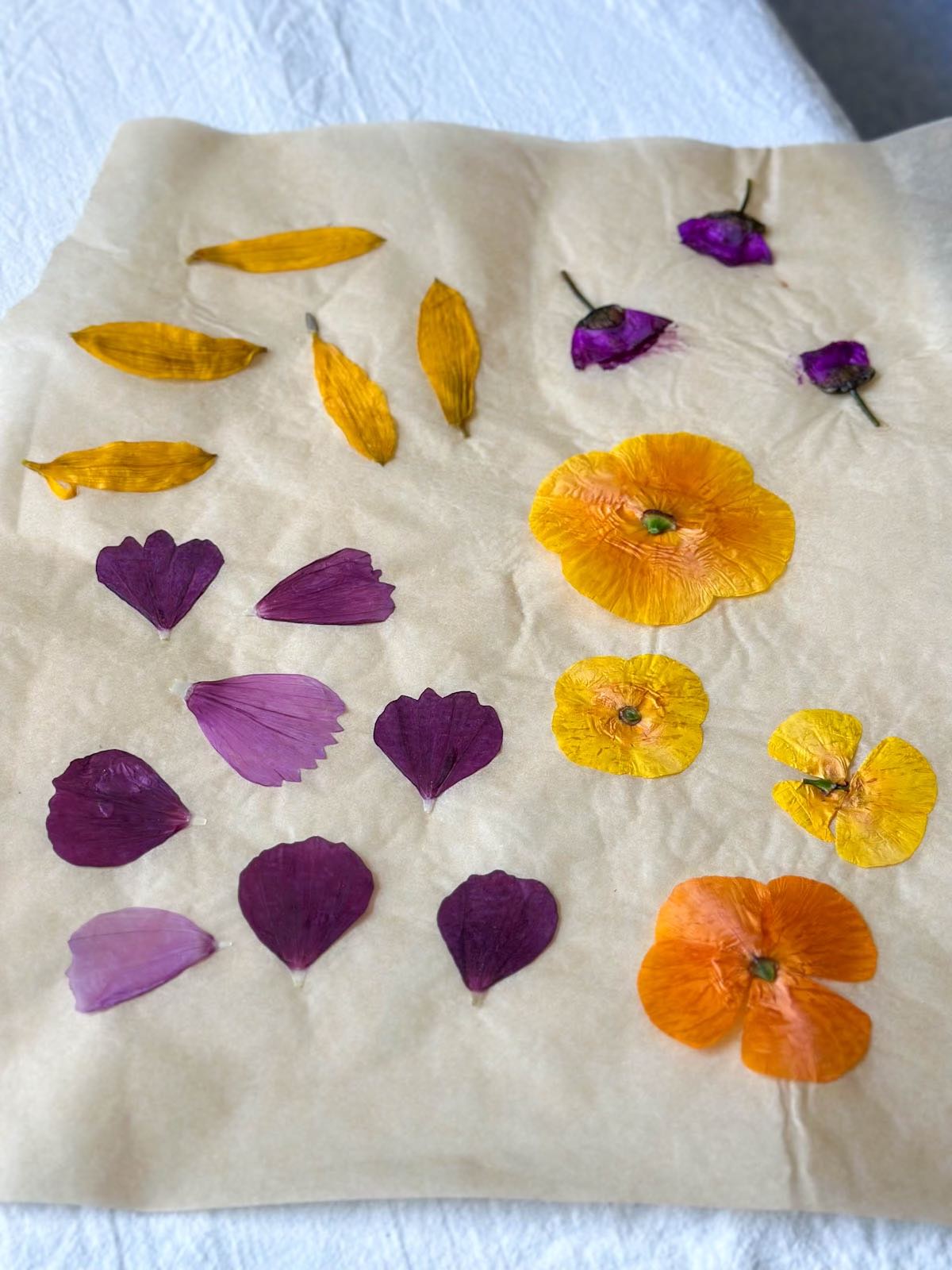 Dried and flattened botanicals are arranged on a  piece of parchment paper. 