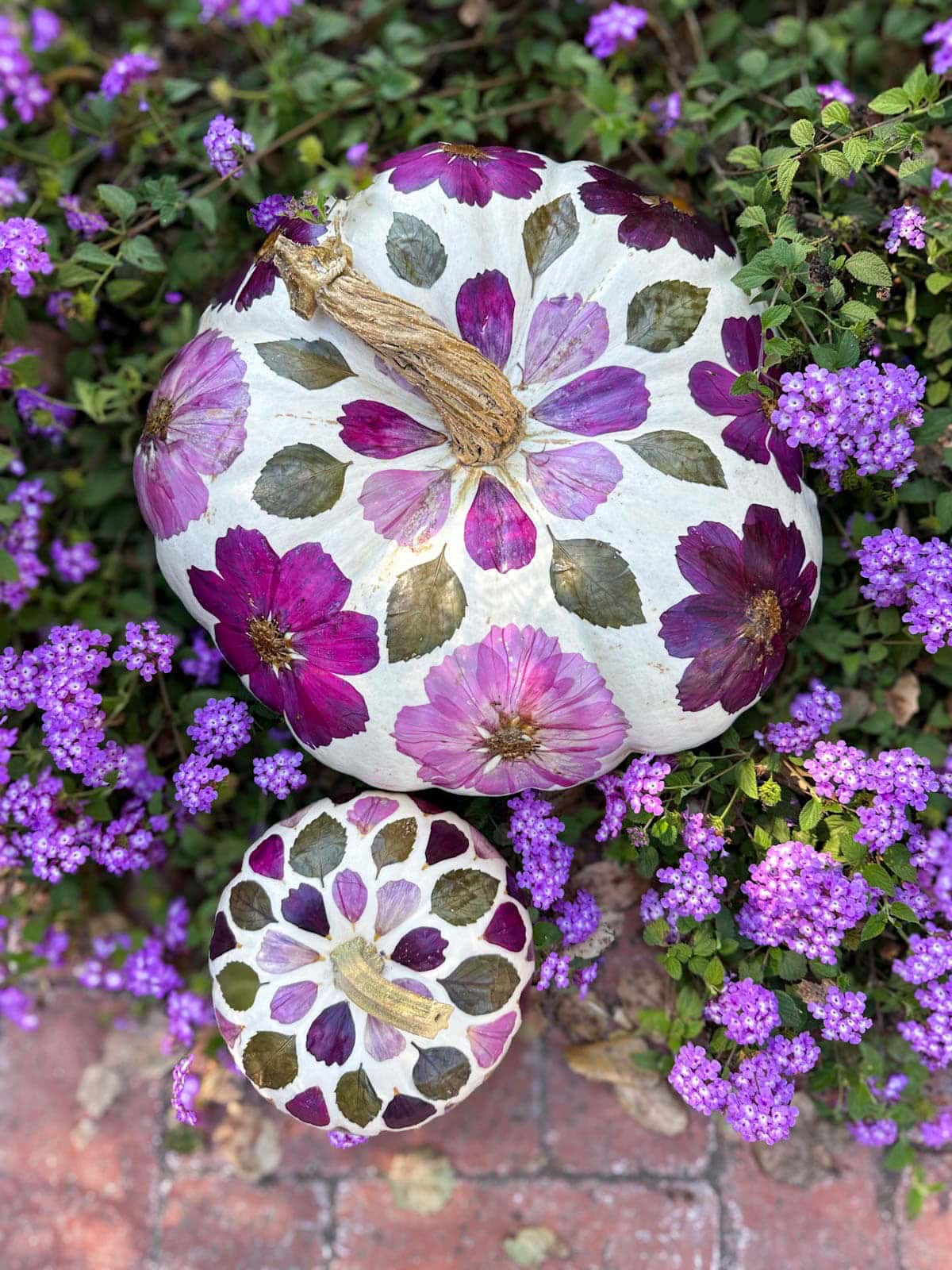 Two white pumpkins of varying size sit amongst a bed on lantana. Each pumpkin has pressed flowers affixed to it in a pattern. 