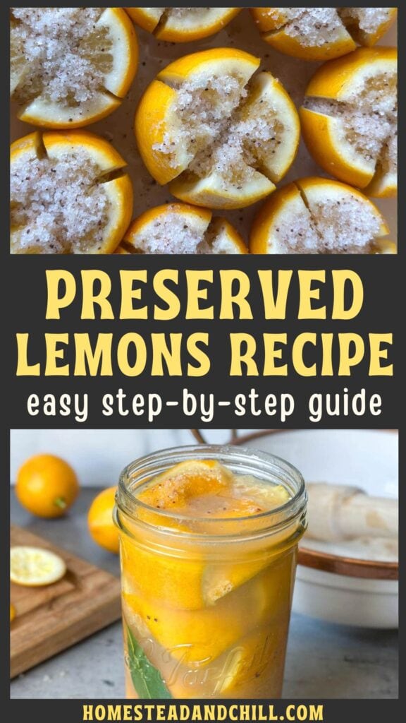 Preserved Lemons Recipe (How to Make Salt Pickled Lemons)