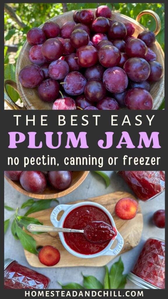 Easy Plum Jam Recipe to Can or Freeze (No Pectin, No Peeling)