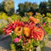 A small bouquet of freshly deadheaded flowers is held in front of a flowering garden.