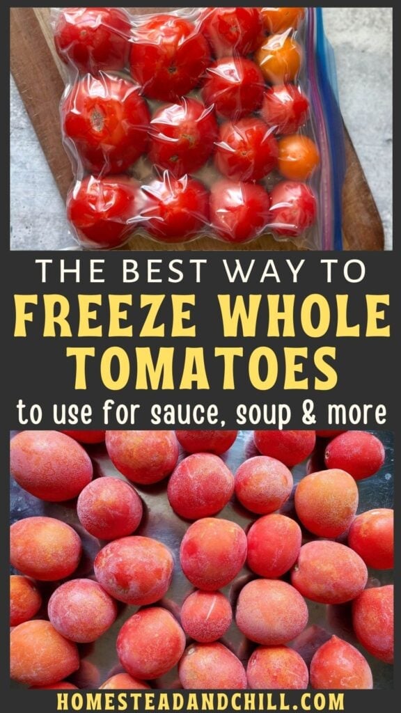 How to Freeze Fresh Tomatoes for Sauce, Soups and More