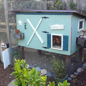 a small DIY chicken coop that has been painted bright blue and teal