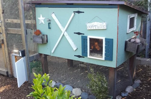 a small DIY chicken coop that has been painted bright blue and teal