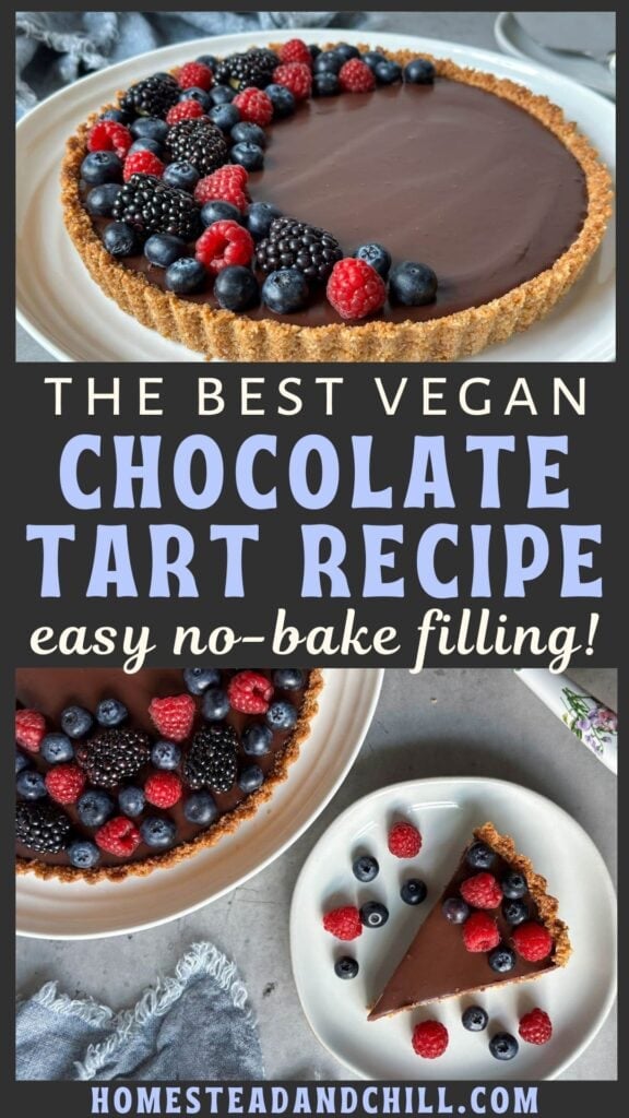 Easy Dark Chocolate Tart Recipe (Vegan Options)