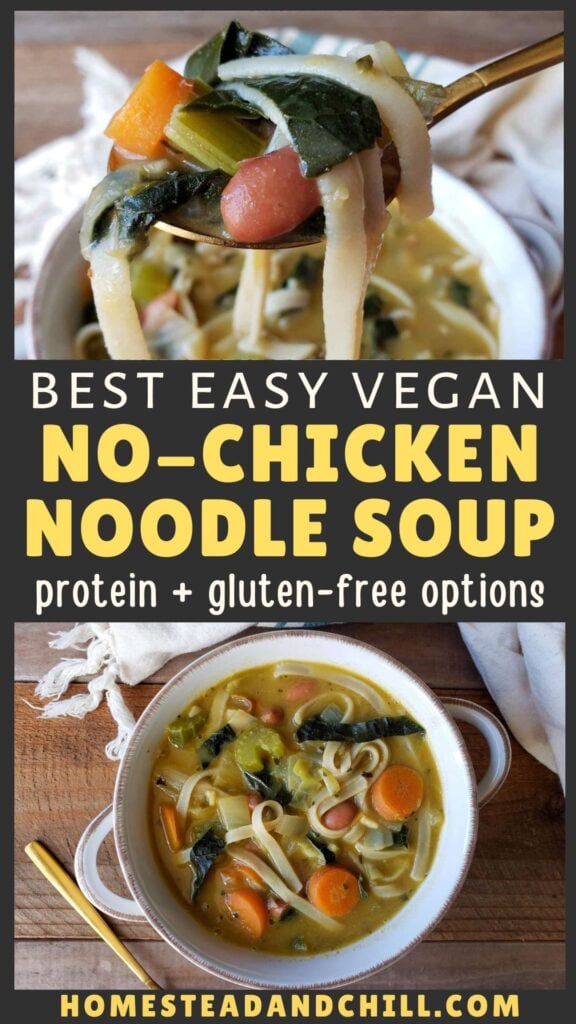 Easy Vegan No-Chicken Noodle Soup Recipe (With Protein!)