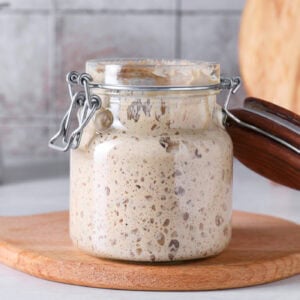 Dehydrated Organic Sourdough Starter (Dry but Alive!)