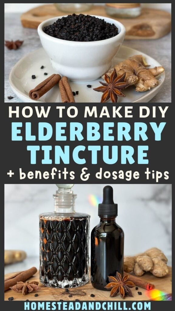 Homemade Elderberry Tincture Recipe with Dried or Fresh Berries