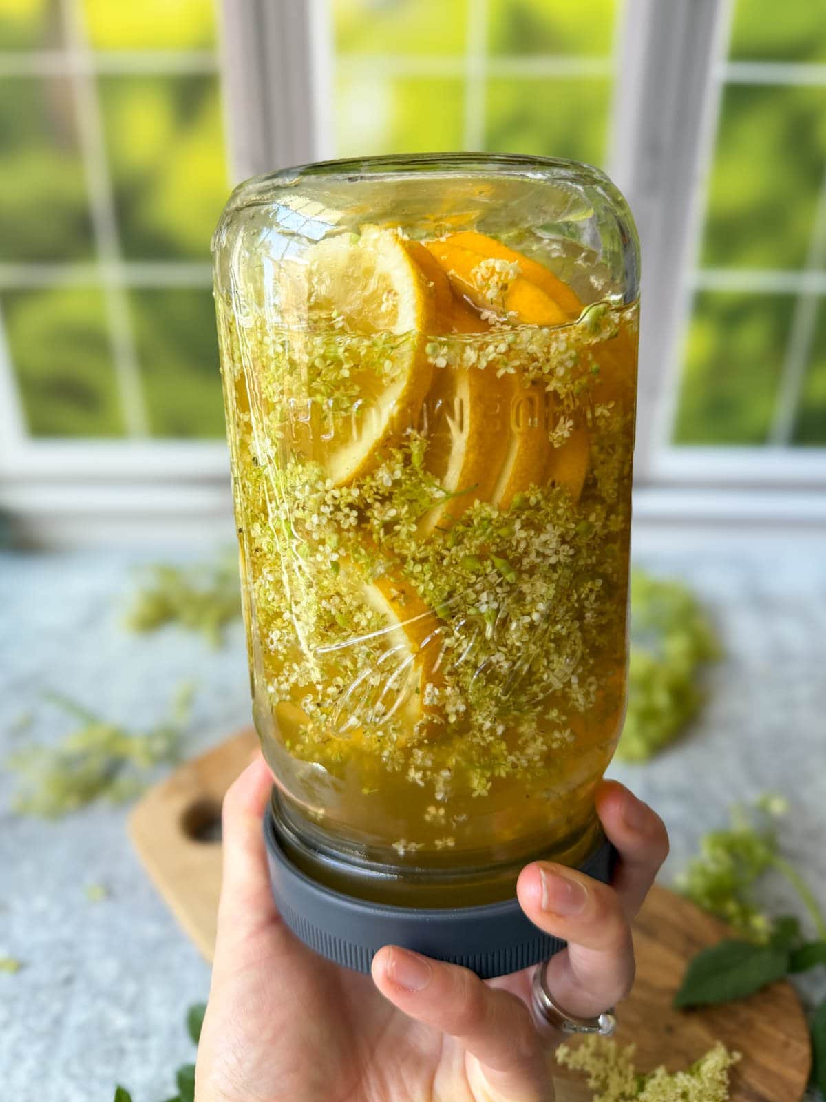 A quart jar full of infusing elderflower cordial syrup with slices of lemons is being held upside down with a leak proof lid to further infuse the ingredients. 