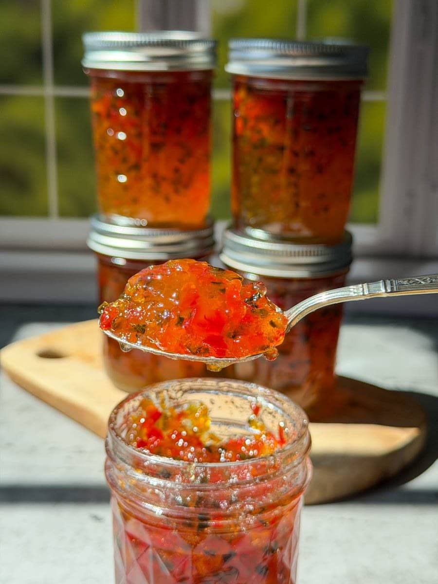 A spoonful of pepper jelly is held above a half pint mason jar. In the background are four half pint jars of pepper jelly.