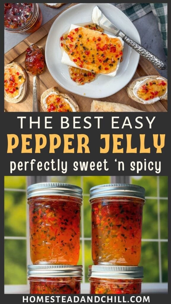 Easy Sweet ‘n Spicy Pepper Jelly Recipe (Canning or Freezer)