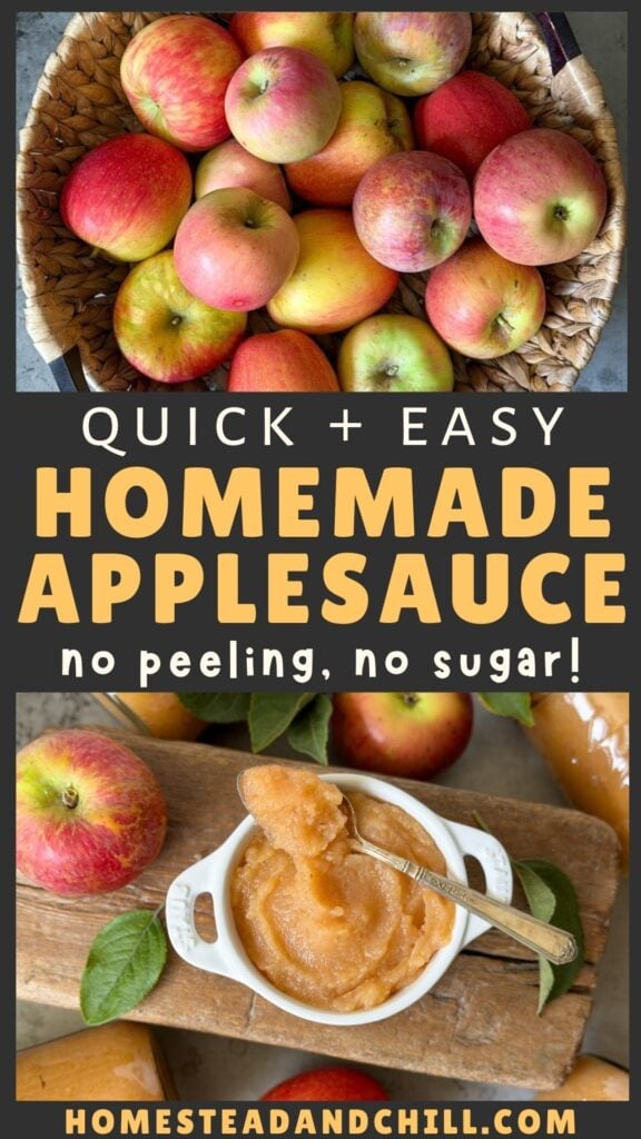 Easy Homemade Applesauce Recipe for Canning or the Freezer