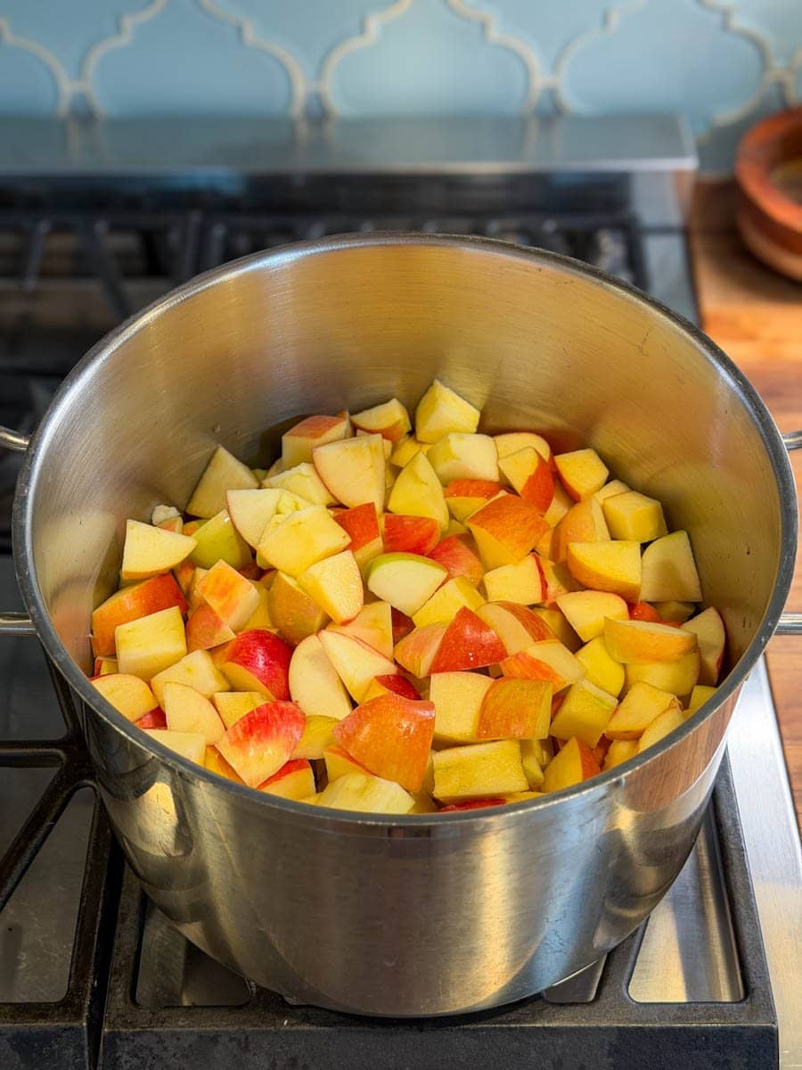 Chunks of fresh fruit fill a stock pot.