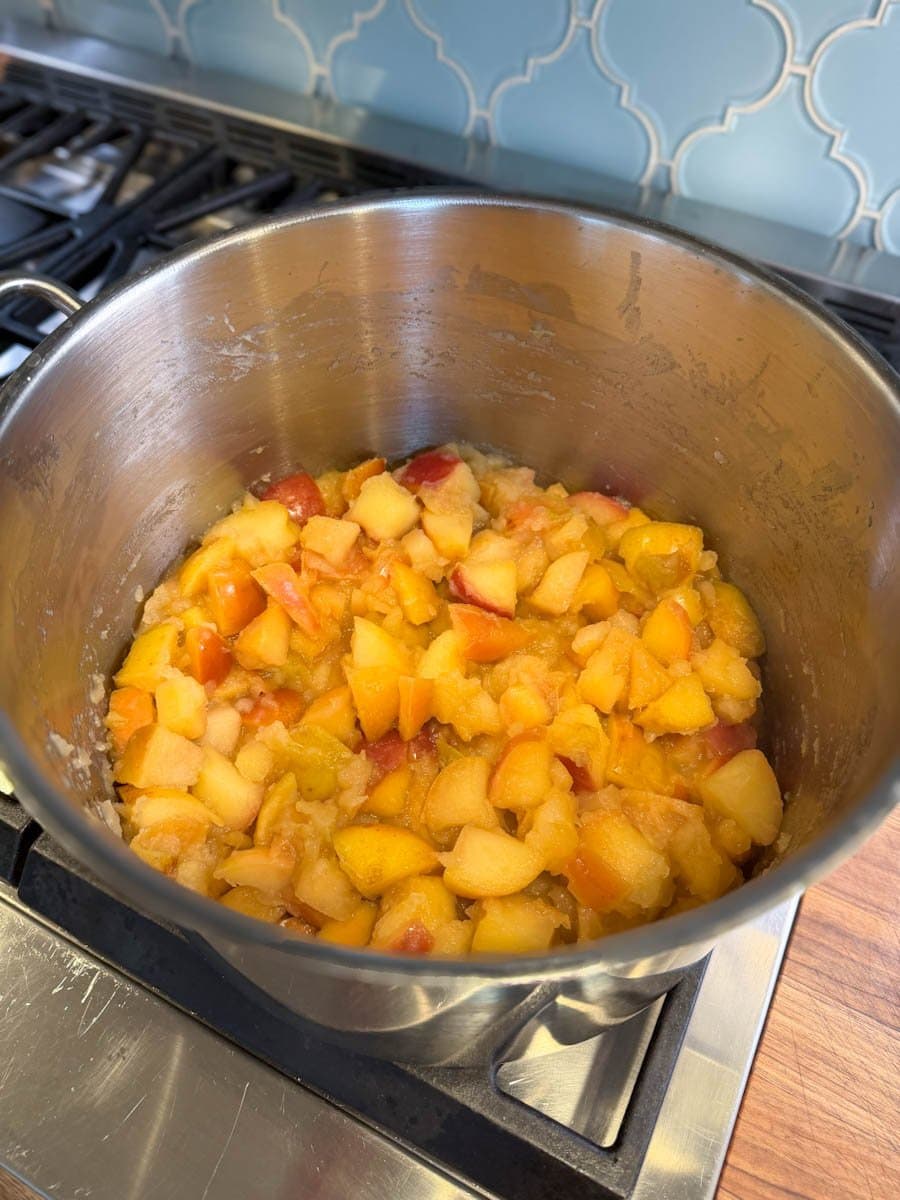A large stock pot contains apple chunks that have been cooked down into a a slightly soft consistency.